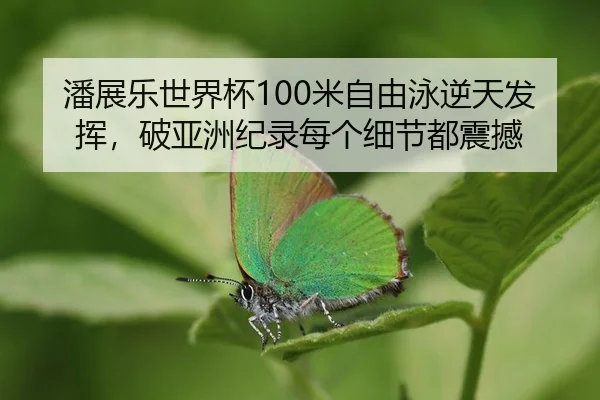 pan-zhan-le-shi-jie-bei-mi-zi-you-yong-ni-tian-fa-hui-po-ya-zhou-ji-lu-mei-ge-xi-jie-dou-zhen-han-2-106.jpg